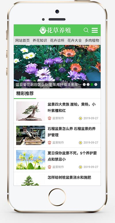 手机端页面