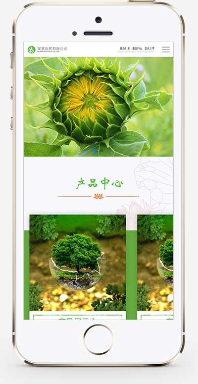 手机端页面