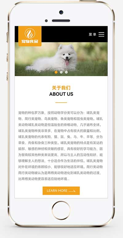 手机端页面