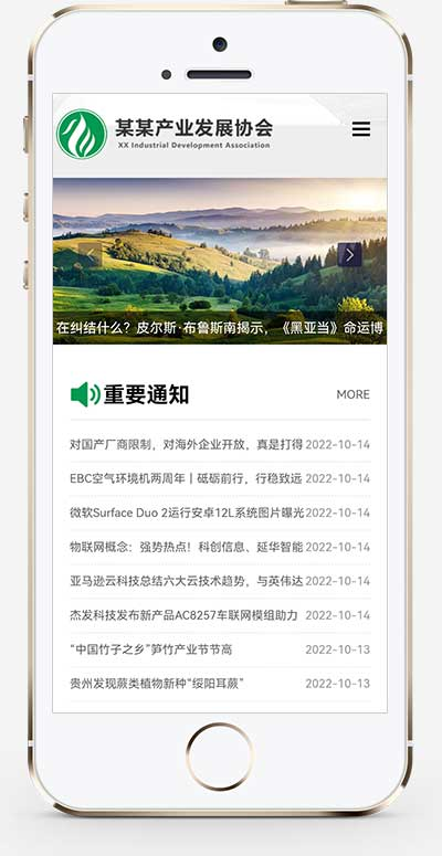 手机端页面