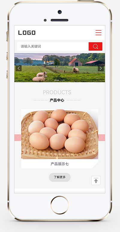 手机端页面